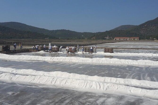 Ston Gastro Tour - Ston Town and Salt Culture: Stroll, Salt Stops, or the Walls