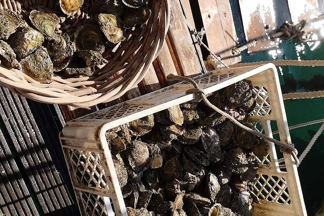 Ston Gastro Tour - Lunch Included: Mussels and Two Risottos (Including Black Risotto)