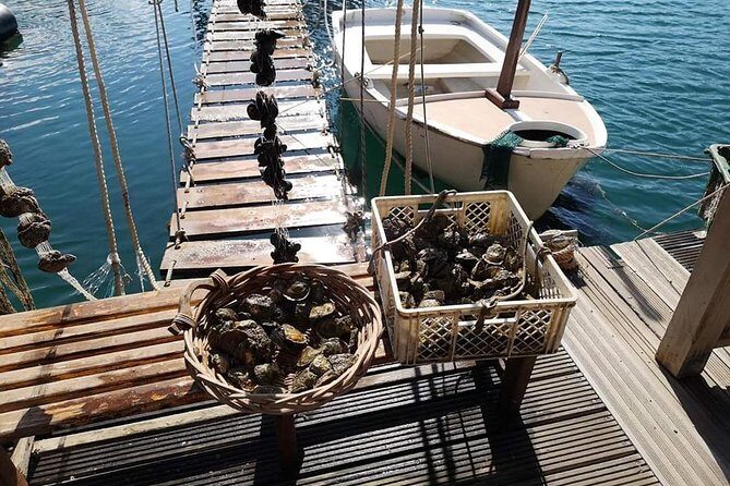 Ston Gastro Tour - Hotel Pickup and the Road to Pelješac: Worth It, Especially in Heat