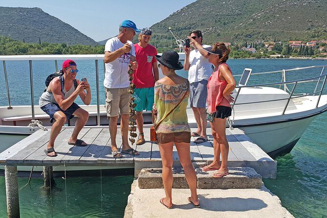 Ston Oysters & Wine Tasting Tour from Dubrovnik - Key things to know before you go