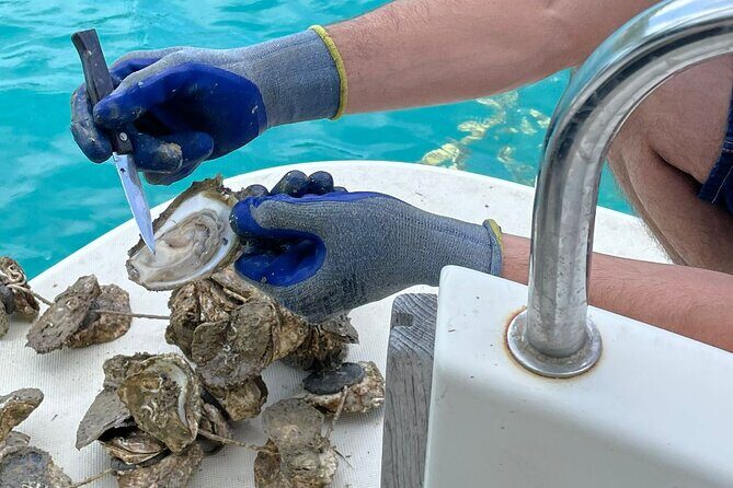 Ston Seafood & Pelješa Wine Boat Tour with Oysters and Mussels - Key things I’d bet on before you book
