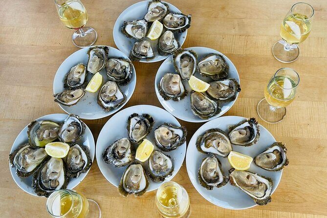Ston Seafood & Pelješa Wine Boat Tour with Oysters and Mussels - Why this Pelješac boat day feels different than a big tour