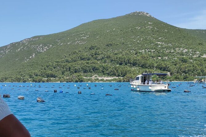 Ston Seafood & Pelješa Wine Boat Tour with Oysters and Mussels - Oyster boat time and Buzara mussels: what your plate will look like