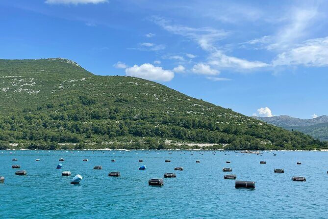 Ston Seafood & Pelješa Wine Boat Tour with Oysters and Mussels - Škurla family winery in Broce: cellars, tasting, and what to listen for