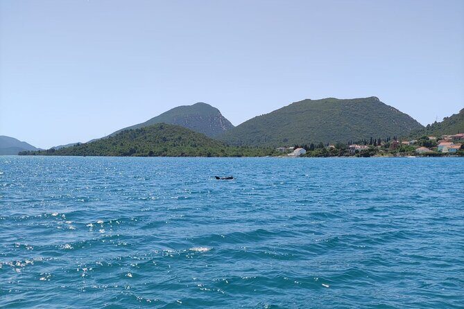 Ston Seafood & Pelješa Wine Boat Tour with Oysters and Mussels - Group size and the small-tour feel (max 15)