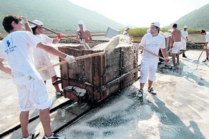 Ston Tour: City Walls, Saltworks, Wine & Adriatic Seafood - Oysters and seafood: pick the style that fits your day