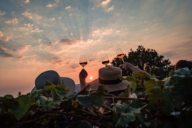 Sunset wine tasting in vineyard - Price and value: is $96.55 a good deal?