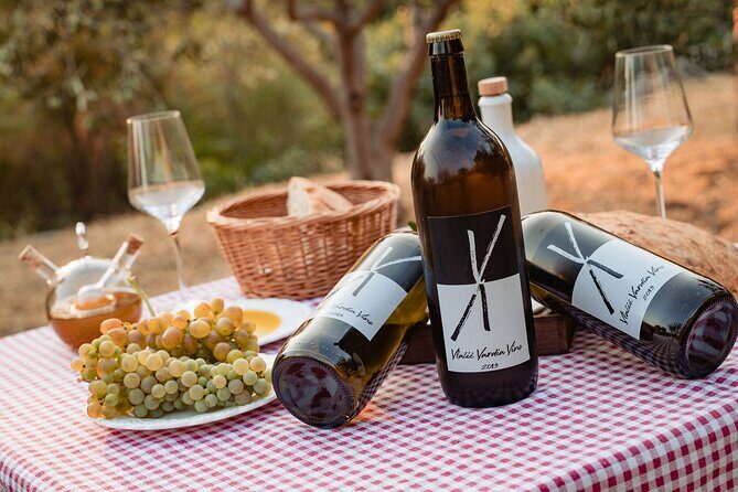 Sunset wine tasting in vineyard - Logistics that keep it stress-free (pickup, timing, language)