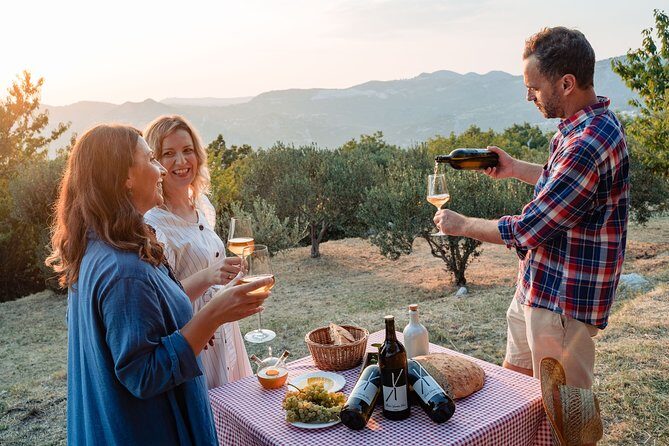 Sunset wine tasting in vineyard - Who should book this Dubrovnik sunset wine tasting