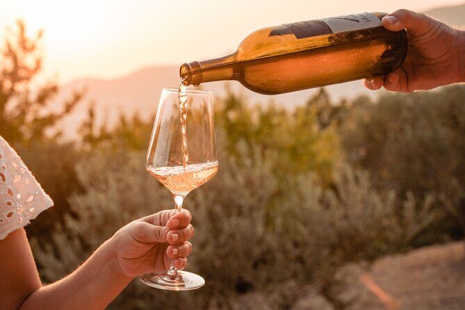 Sunset wine tasting in vineyard - The short hike through Mediterranean forest (and why you’ll enjoy it)