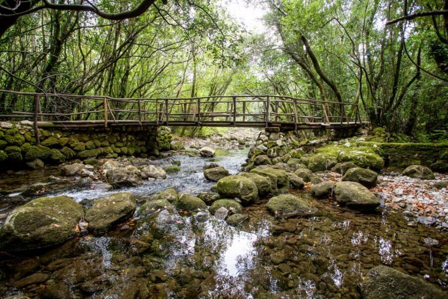 Taste & Tradition of Dubrovnik Countryside - Kameni mlin Stone Mill: Water-Powered Milling and Wool Processing