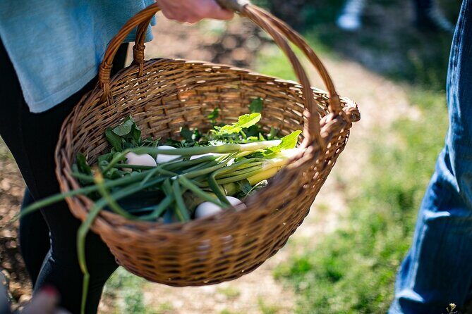 Traditional Cooking Class in Dubrovnik Countryside - Who this is best for (and who should ask extra questions)