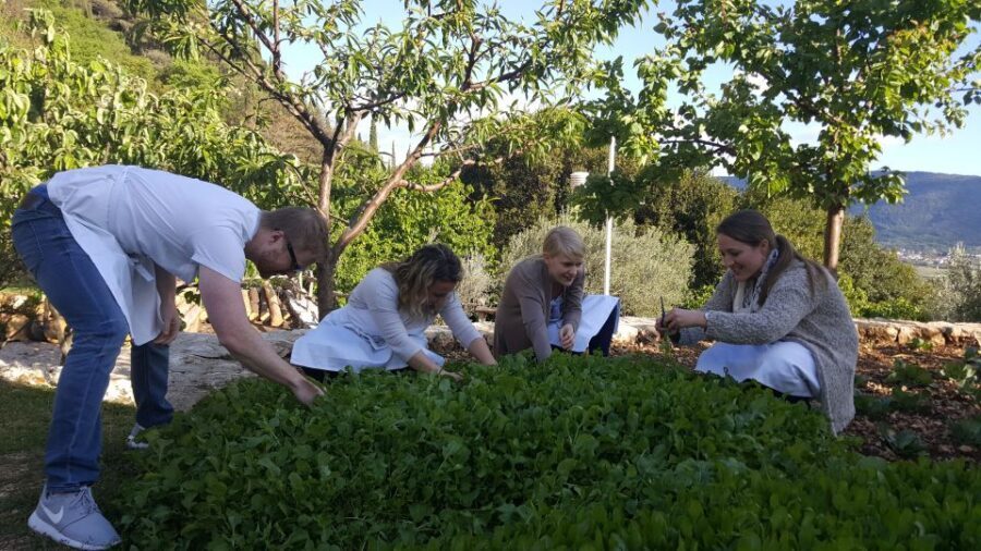 Traditional Dalmatian Cooking Class from Dubrovnik - Quick Reasons This Cooking Class Works