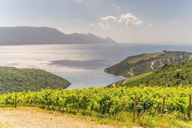 Transfer Dubrovnik to Split with Sightseeing in Ston Town - How long you’ll actually be out (and how to pace Ston)