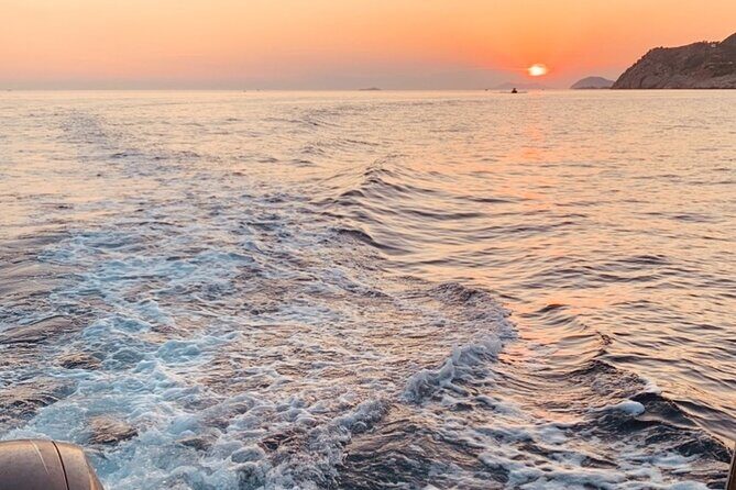 Visit magical Mljet Island with private speedboat - Logistics you can plan around: meeting point, end point, and tickets