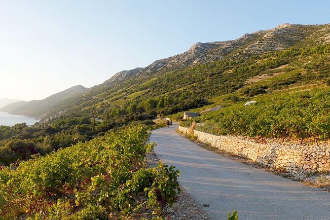 Wine Lover's Tour of Peljesac Peninsula - Ston Old Town: the walk, the wall, and the oyster choice