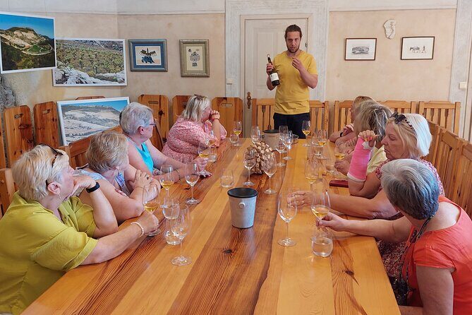 Wine tour Peljesac - Ston pause: salt pans and the Walls of Ston