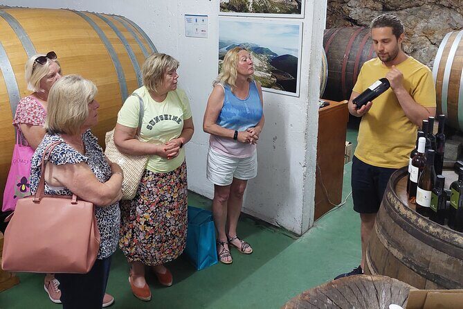 Wine tour Peljesac - How this day feels: pacing, tastings, and how to enjoy it