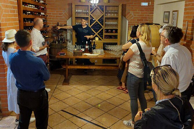 Wine tour Peljesac - Who should book this Pelješac wine tour from Dubrovnik