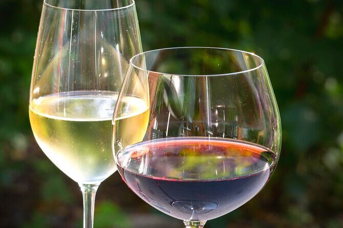 Wine tour peninsula Pelješac - Mali Ston Food Time: Oysters and Mussels on Your Schedule