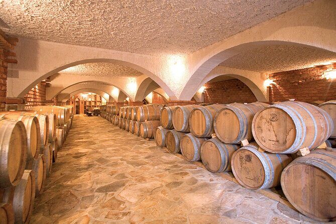 Wine tour peninsula Pelješac - Price and What You Get for $360.31 per Group (Up to 3)